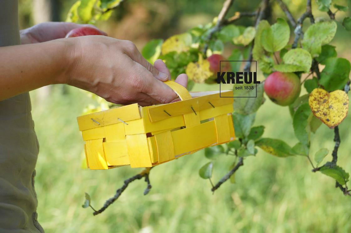 Sieh's mal Gelb! Schöne Erntedank-Körbchen mit KREUL Holzlasur anmalen