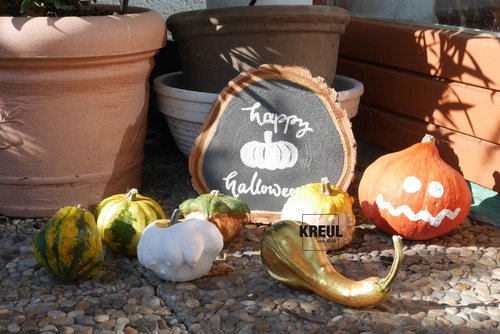 KREUL Dekorieren Farben Basteln Herbst DIY Kürbis Halloween anmalen Decor Idee 