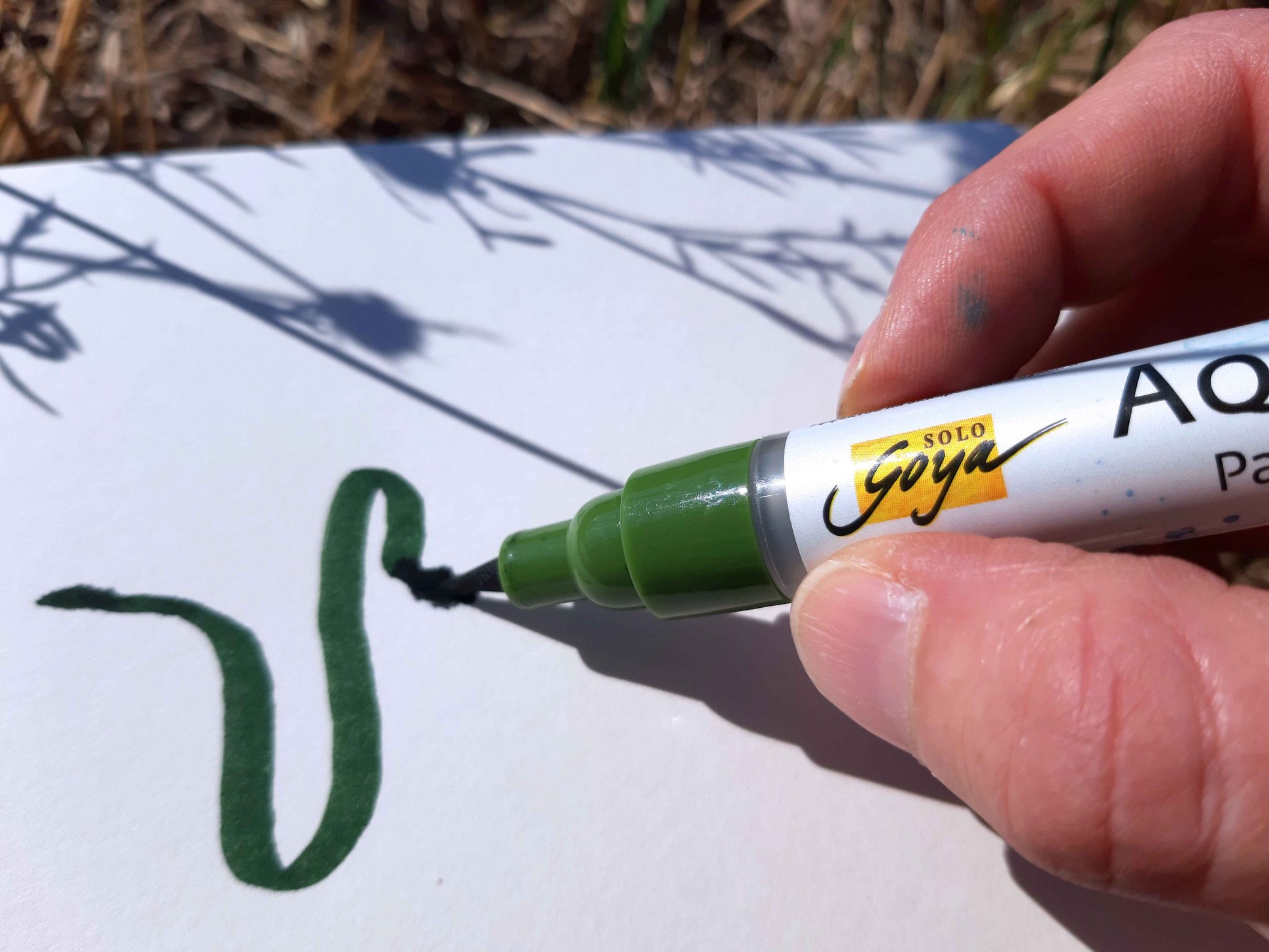 Aquarell Marker in Grün mit elastischer Pinselspitze beim Zeichnen in der Natur