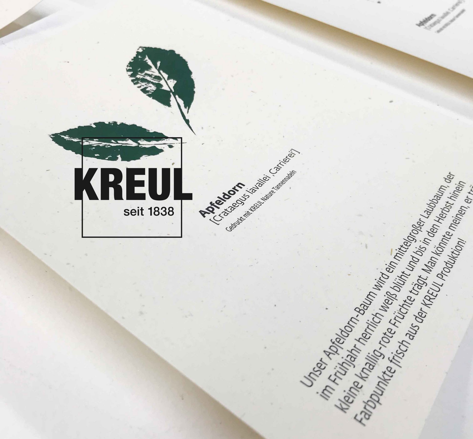 KREUL Partner Kunden Baum Patenschaft KREUL Nachhaltigkeit leben Baum Pate
